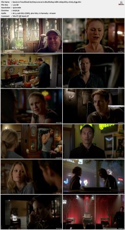 True Blood S07 BluRay 10Bit 1080p DD5.1 H265-d3g