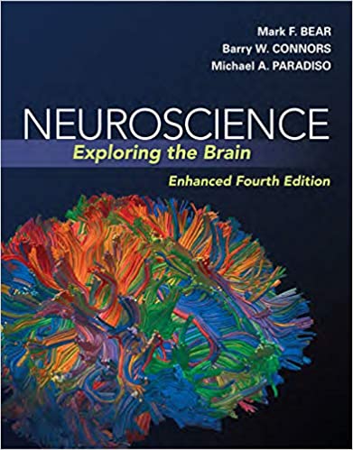 from neuron to brain 4th edition pdf download