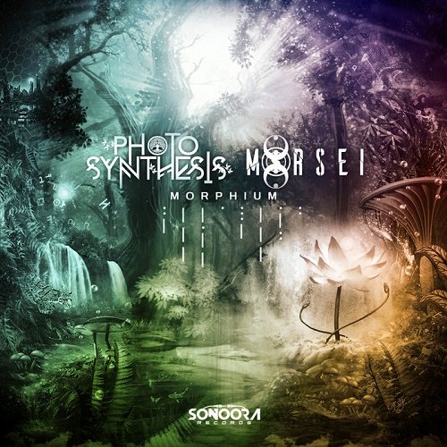Photosynthesis &amp; Morsei - Morphium (Single) (2021)