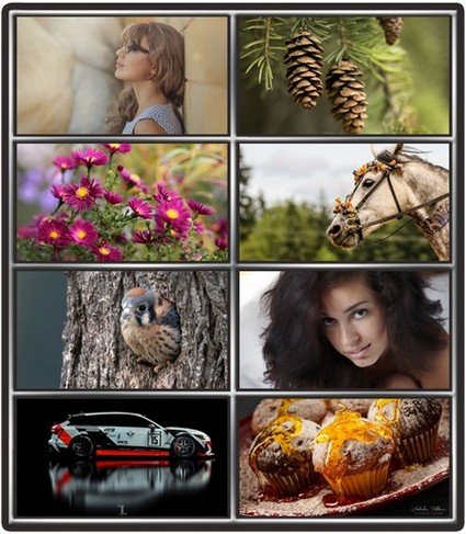 Collection wallpapers to your desktop #939