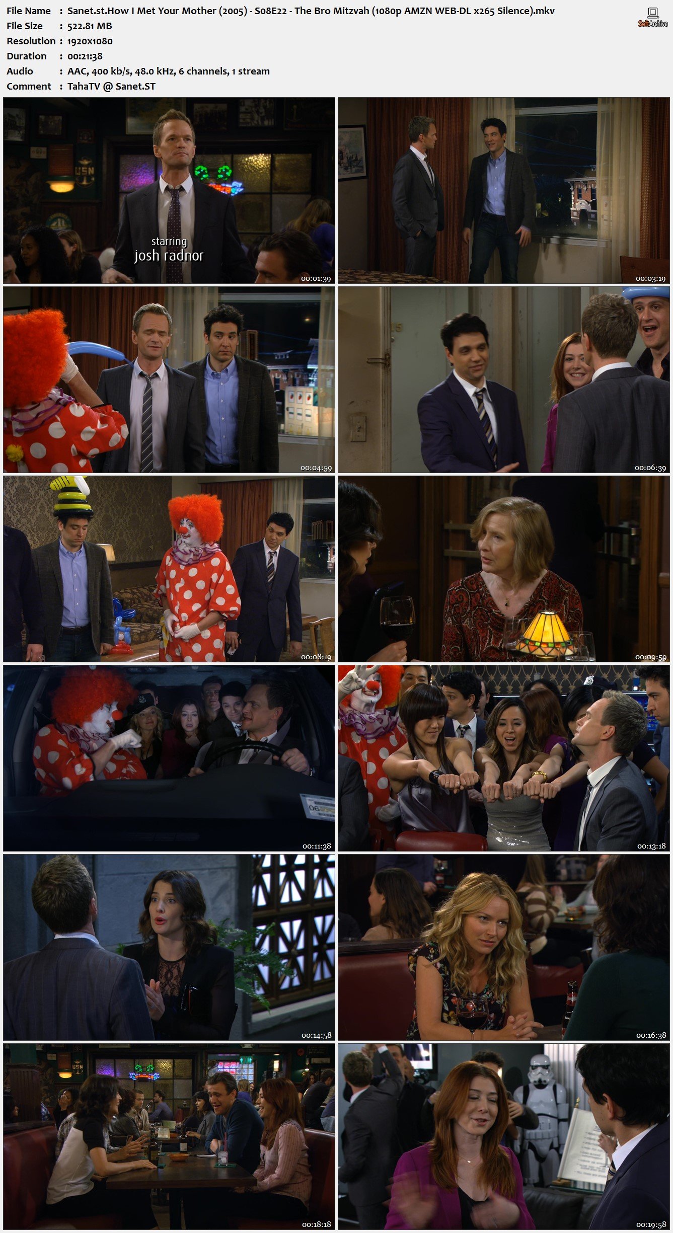 how i met your mother s08 pirate