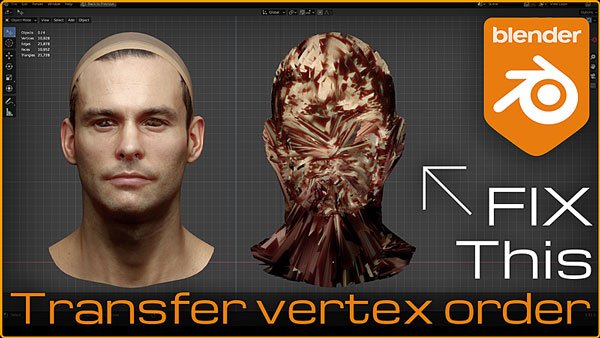 Transfer Vertex Order for Blender