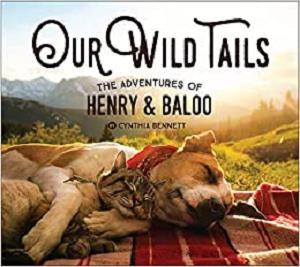 FreeCourseWeb Our Wild Tails The Adventures of Henry and Baloo