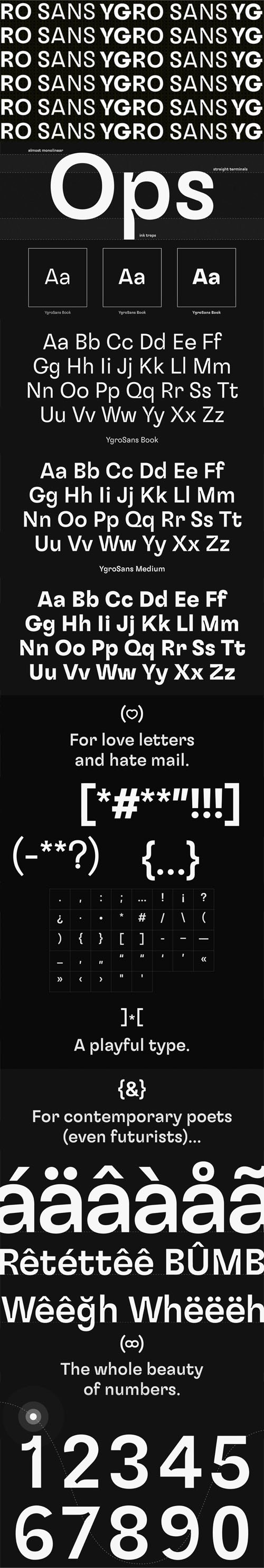 Ygro Sans Serif Font [3-Weights]