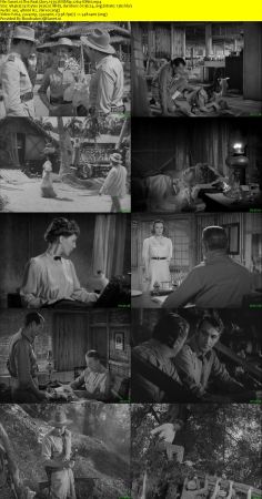 The Real Glory 1939 WEBRip x264-ION10