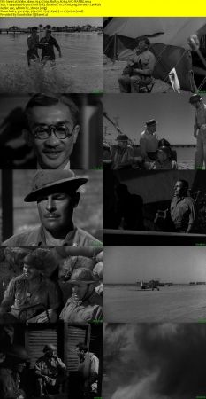 Wake Island 1942 720p BluRay H264 AAC-RARBG
