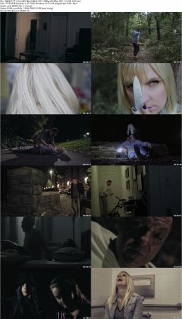 Central Park Dark 2021 1080p WEBRip DD5.1 X264-EVO