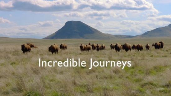 BBC - Incredible Journeys with Simon Reeve (2021) 1080p HDTV x265 AAC MVGroup