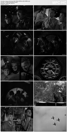 Air Force 1943 1080p WEBRip x265-RARBG