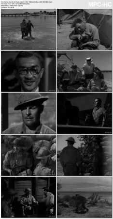 Wake Island 1942 1080p BluRay x265-RARBG