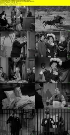 My Little Chickadee 1940 WEBRip XviD MP3-XVID