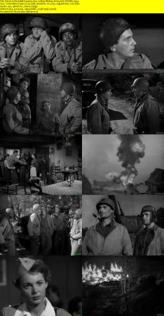Red Ball Express 1952 1080p BluRay H264 AAC-RARBG