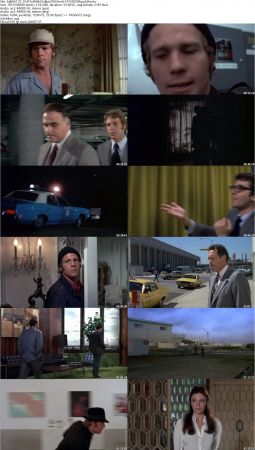 The Thief Who Came To Dinner 1973 DVDRip x264-NOGRP