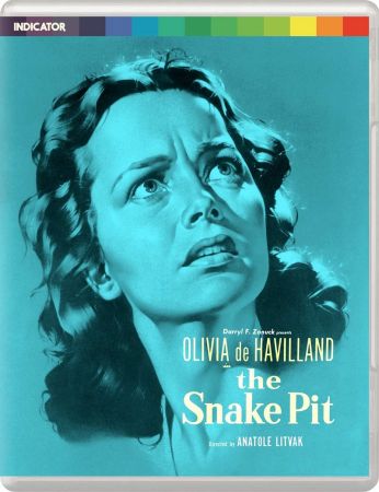 The Snake Pit 1948 1080p BluRay x265-RARBG