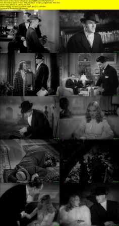 The Falcon Takes Over 1942 WEBRip XviD MP3-XVID