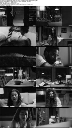 Malcolm and Marie 2021 1080p NF WEB-DL DDP5.1 Atmos x264-EVO