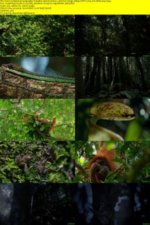Nat.Geo.Wild - Paradise Islands: Series 1 (2021) 1080p HDTV x264 AAC MVGroup