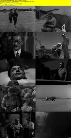 Wake Island 1942 BRRip XviD MP3-XVID