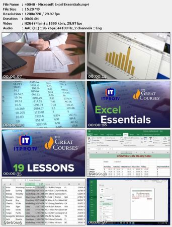 Microsoft Excel Essentials by Vonne Smith