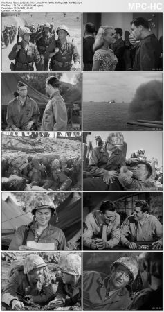 Sands of Iwo Jima 1949 1080p BluRay x265-RARBG