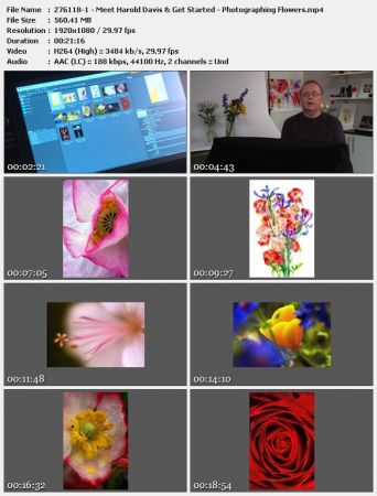 Photographing Flowers