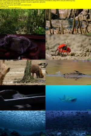 Nat.Geo.Wild - Paradise Islands: Series 1 (2021) 1080p HDTV x264 AAC MVGroup