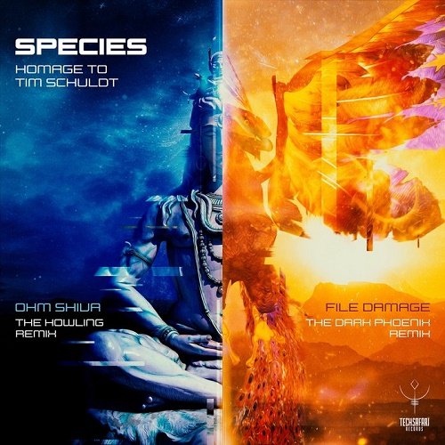 Tim Schuldt - Homage to Tim Schuldt EP (2021)