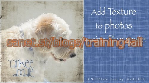 Add Textures to Photos using Procreate