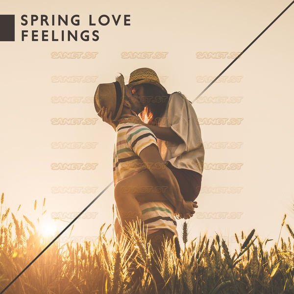 Download Instrumental Jazz Love Songs Spring Love Feelings Romantic Jazz Music 2021 2021 
