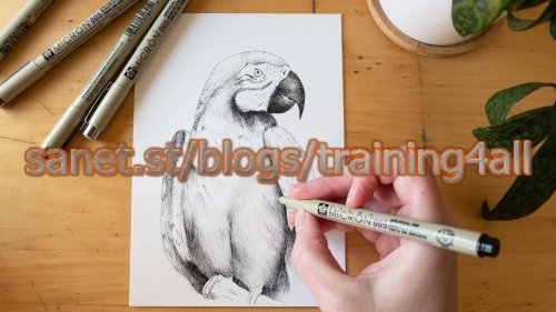 Drawing with Pen 101: Creating Shape with Value and Texture