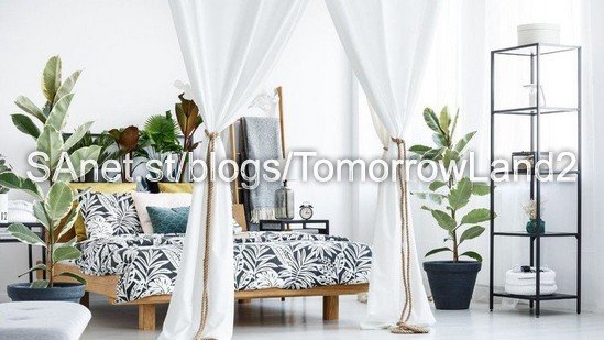Decorating with Plants for Beginners.