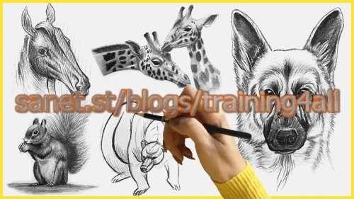 How to Draw and Sketch Animal with Pencil Step by Step