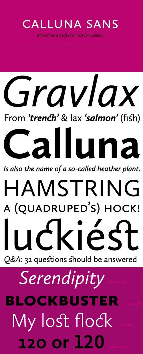 Calluna Sans Font Family - 10 Fonts for $119