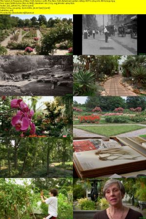 PBS - Treasures of New York: Series 1 (2021) 1080p HDTV x264 AAC MVGroup