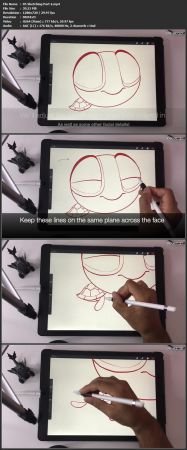 DevCourseWeb Skillshare Drawing Cartoon Animals Baby Sea Turtle