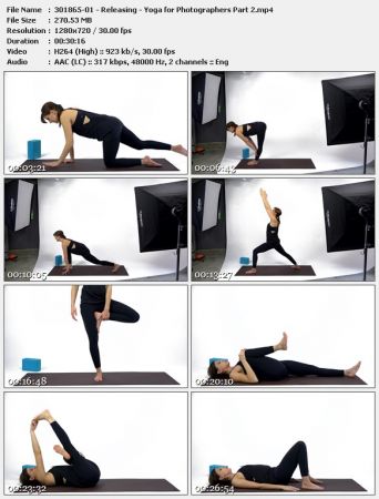 Yoga for Photographers: Part 2
