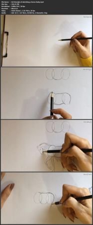How to Draw and Sketch Animal with Pencil Step by Step