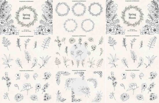Floral Sketch Line Art Flower SVG Frame Botanical Monogram - 1268800
