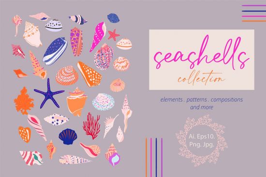 Seashells Collection - 5962683