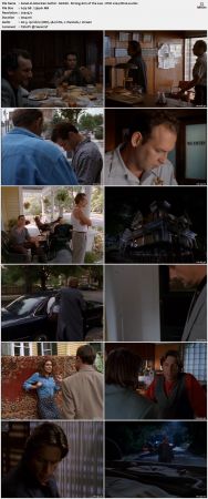 American Gothic S01 DVDRip x264-NOGRP