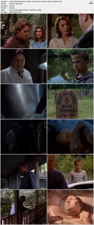 American Gothic S01 DVDRip x264-NOGRP