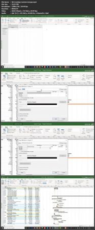 Microsoft Project 2019: Up to Speed