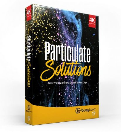 BusyBoxx – V17: Particulate Solutions