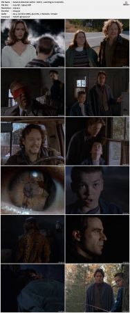 American Gothic S01 DVDRip x264-NOGRP