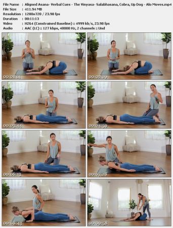 Aligned Asana- Verbal Cues