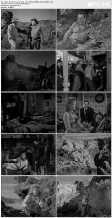 Lust for Gold 1949 1080p WEBRip x265-RARBG