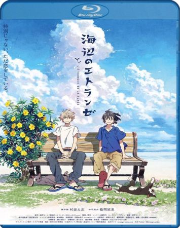 The Stranger by the Beach 2020 1080p BluRay x264 DTS-WiKi
