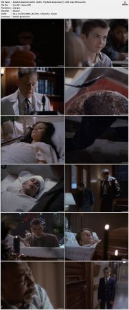 American Gothic S01 DVDRip x264-NOGRP