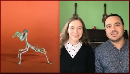 Stop Motion Animation Inspired by Nature: Animating Paper Insects
