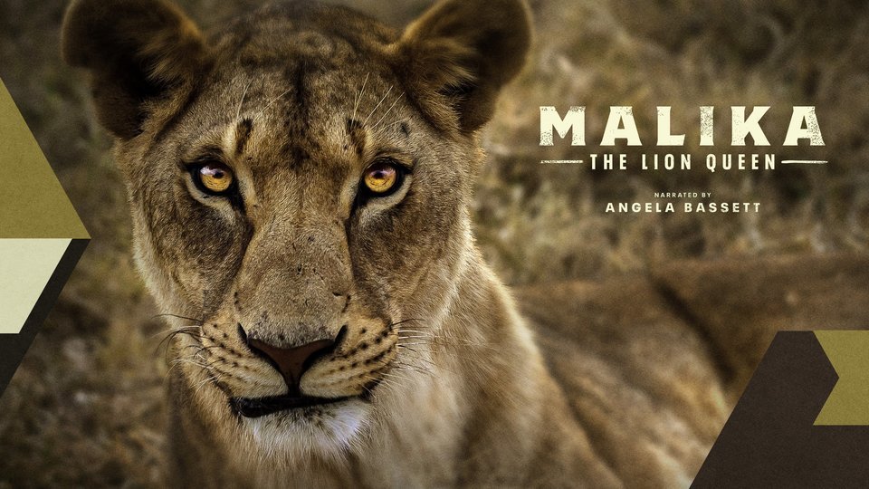 Download Malika The Lion Queen 2021 1080p Webrip X264 Rarbg Softarchive